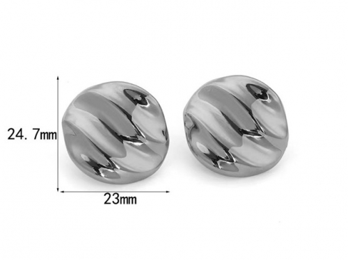 HY Wholesale Jewelry Popular Earrings 316L Stainless Steel Earrings Jewelry-HY0158E0290