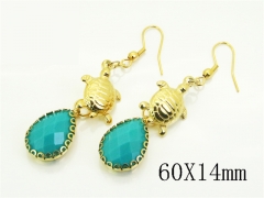 HY Wholesale Earrings Jewelry 316L Stainless Steel Earrings Jewelry-HY92E0266HID