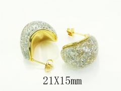 HY Wholesale Earrings Jewelry 316L Stainless Steel Earrings Jewelry-HY70E1541ML