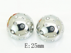 HY Wholesale Earrings Jewelry 316L Stainless Steel Earrings Jewelry-HY13E0021HWL