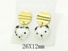 HY Wholesale Earrings Jewelry 316L Stainless Steel Earrings Jewelry-HY92E0268HQQ