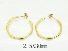 HY Wholesale Earrings Jewelry 316L Stainless Steel Earrings Jewelry-HY30E2118ML