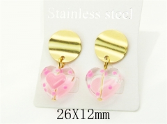 HY Wholesale Earrings Jewelry 316L Stainless Steel Earrings Jewelry-HY92E0270HGG