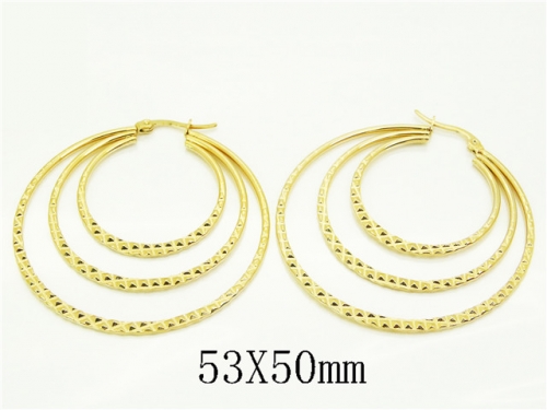 HY Wholesale Earrings Jewelry 316L Stainless Steel Earrings Jewelry-HY58E1963LW