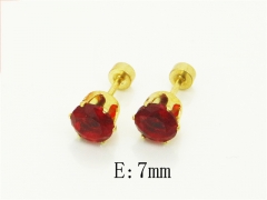 HY Wholesale Earrings Jewelry 316L Stainless Steel Earrings Jewelry-HY94E0393WHL