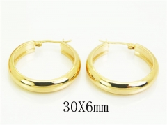 HY Wholesale Earrings Jewelry 316L Stainless Steel Earrings Jewelry-HY58E2003JN