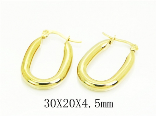 HY Wholesale Earrings Jewelry 316L Stainless Steel Earrings Jewelry-HY58E1951KL