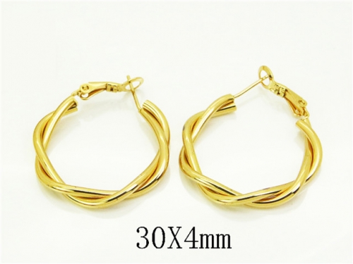 HY Wholesale Earrings Jewelry 316L Stainless Steel Earrings Jewelry-HY58E1964KE