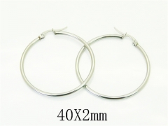 HY Wholesale Earrings Jewelry 316L Stainless Steel Earrings Jewelry-HY70E1557AHL