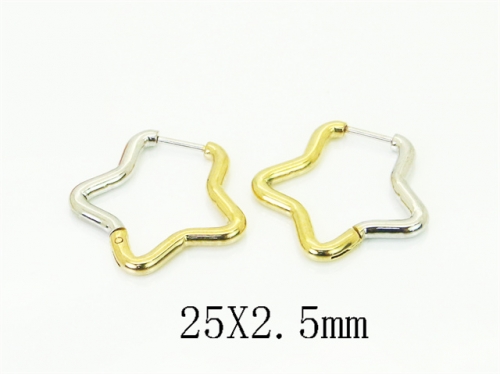 HY Wholesale Earrings Jewelry 316L Stainless Steel Earrings Jewelry-HY80E1753SKL