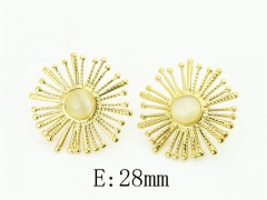 HY Wholesale Earrings Jewelry 316L Stainless Steel Earrings Jewelry-HY80E1772MD