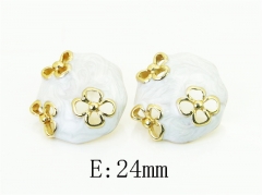 HY Wholesale Earrings Jewelry 316L Stainless Steel Earrings Jewelry-HY80E1718OY