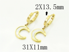 HY Wholesale Earrings Jewelry 316L Stainless Steel Earrings Jewelry-HY24E0161OD