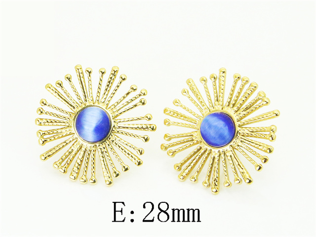 HY Wholesale Earrings Jewelry 316L Stainless Steel Earrings Jewelry-HY80E1774MZ