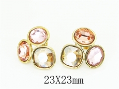 HY Wholesale Earrings Jewelry 316L Stainless Steel Earrings Jewelry-HY80E1776DOL