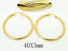 HY Wholesale Earrings Jewelry 316L Stainless Steel Earrings Jewelry-HY60E2076IO