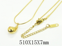 HY Wholesale Stainless Steel 316L Jewelry Hot sale Necklaces-HY59N0119ML