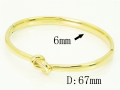 HY Wholesale Bangles Jewelry Stainless Steel 316L Fashion Bangle-HY04B0055HLW