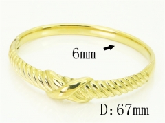 HY Wholesale Bangles Jewelry Stainless Steel 316L Fashion Bangle-HY04B0059HLE