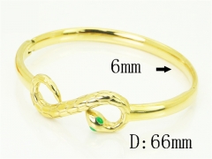 HY Wholesale Bangles Jewelry Stainless Steel 316L Fashion Bangle-HY04B0057HNE