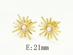 HY Wholesale Earrings Jewelry 316L Stainless Steel Earrings Jewelry-HY60E2169YJL