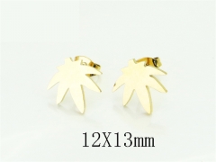 HY Wholesale Earrings Jewelry 316L Stainless Steel Earrings Jewelry-HY35E0211JS