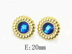 HY Wholesale Earrings Jewelry 316L Stainless Steel Earrings Jewelry-HY60E2160CJL