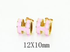 HY Wholesale Earrings Jewelry 316L Stainless Steel Earrings Jewelry-HY35E0239MX