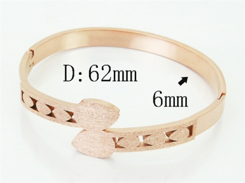 HY Wholesale Bangles Jewelry Stainless Steel 316L Popular Bangle-HY19B1510HJS