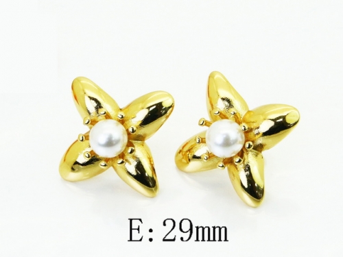 HY Wholesale Earrings Jewelry 316L Stainless Steel Earrings Jewelry-HY80E2033NB