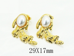 HY Wholesale Earrings Jewelry 316L Stainless Steel Earrings Jewelry-HY60E2197CJO