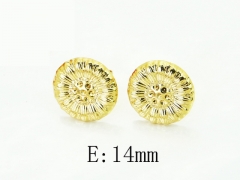 HY Wholesale Earrings Jewelry 316L Stainless Steel Earrings Jewelry-HY60E2212RIO