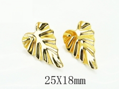 HY Wholesale Earrings Jewelry 316L Stainless Steel Earrings Jewelry-HY60E2216RIO