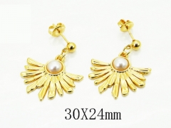 HY Wholesale Earrings Jewelry 316L Stainless Steel Earrings Jewelry-HY60E2192KX