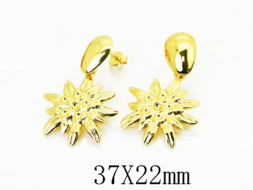 HY Wholesale Earrings Jewelry 316L Stainless Steel Earrings Jewelry-HY80E2021RKL