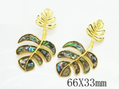 HY Wholesale Earrings Jewelry 316L Stainless Steel Earrings Jewelry-HY80E2010HIL