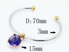 HY Wholesale Bangles Jewelry Stainless Steel 316L Popular Bangle-HY90B0713HNR