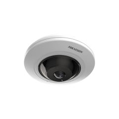 5MP Fixed Fisheye Network Camera | DS-2CD2955G0-ISU