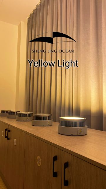SJ800-3D Yellow Fishing Light
