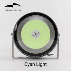 SJ1000-4D Cyan Fishing Light