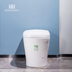 Artículos sanitarios europeos montados en el suelo Secado con aire caliente Sifón Lavabo Cerámica China Juego de inodoro inteligente inteligente WC