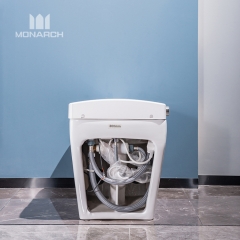 Louça sanitária montada no piso europeu Sifão de secagem a ar quente Lavagem de banheiro de cerâmica China Smart Intelligent WC conjunto de toalete