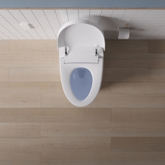 Toilette intelligente futée menée de bidet mobile de bâti de plancher de nettoyage d'affichage d'énergie