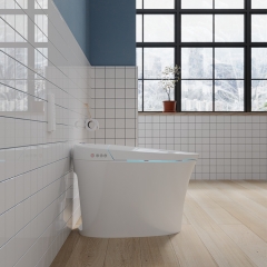 Toilette intelligente futée menée de bidet mobile de bâti de plancher de nettoyage d'affichage d'énergie