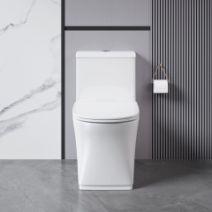 Monarch white ceramic toilet with row toilet