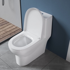 Monarch white ceramic toilet with row of toilets