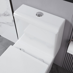 Monarch white ceramic toilet with row toilet