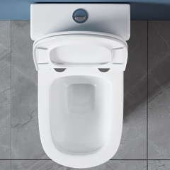 Monarch white ceramic toilet with row toilet