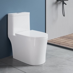 Monarch white floor-standing ceramic toilet