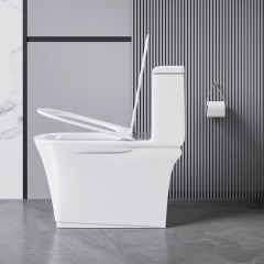 Monarch white ceramic toilet with row toilet